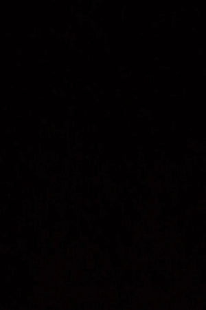 A4338b61da4d44e1db9824212f2055be1I.jpg